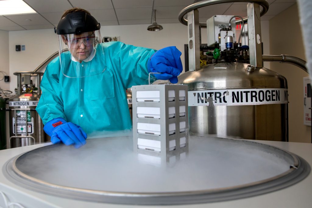 Person removes container from a liquid nitrogen storage freezer