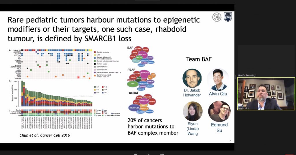 Rare pediatric tumors harbour mutations to epigenetic modifiers or their targets, one such case, rhabdoid tumour, is defined by SMARCB1 loss