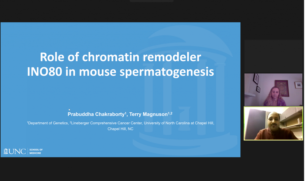 Role of chromatin remodeler INO80 in mouse spermatogenesis