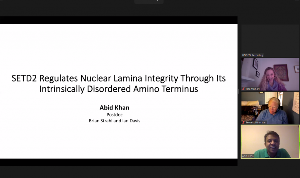 SETD2 Regulates Nuclear Lamina Integrity Through Its Intrinsically Disordered Amino Terminus