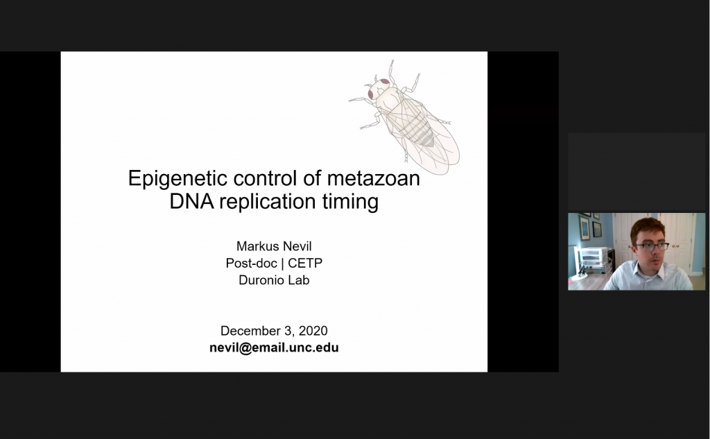 Epigenetic control of metazoan DNA replication timing