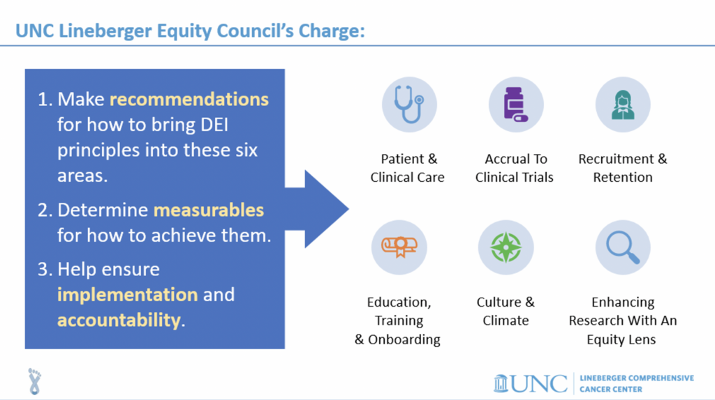 The council charge: To make recommendations for how to bring DEI principles into six core areas; Determine measurables for how to achieve them; and help ensure implementation and accountability.