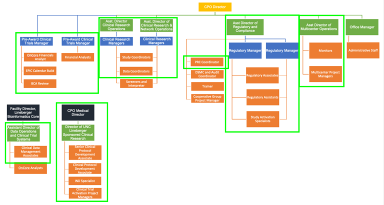 Organizational chart of Clinical Protocol Office identifying groups and their role in activation