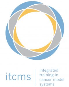 ITCMS Logo Tall