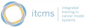 ITCMS Logo Wide