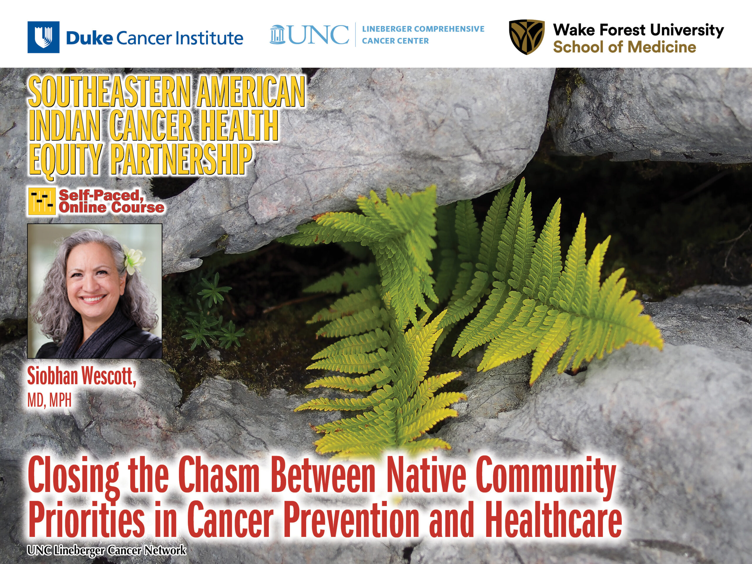 Closing the Chasm Between Native Community Priorities in Cancer Prevention and Healthcare Research Priorities