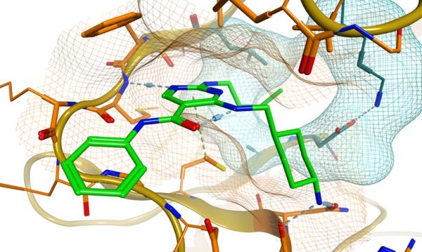 The investigational compound MRX-2843 is shown in green on the active site of the MERTK protein.