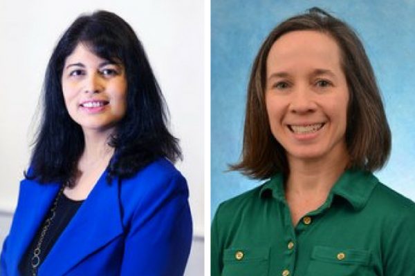 UNC Lineberger's Blossom Damania, PhD, and Penny Anders, PhD, report in the Journal of Clinical Investigation how the viral protein vPK helps drive abnormal growth of B cells. Their findings suggest vPK is a potential druggable target.