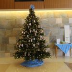 Tree of Hope at the N.C. Cancer Hospital