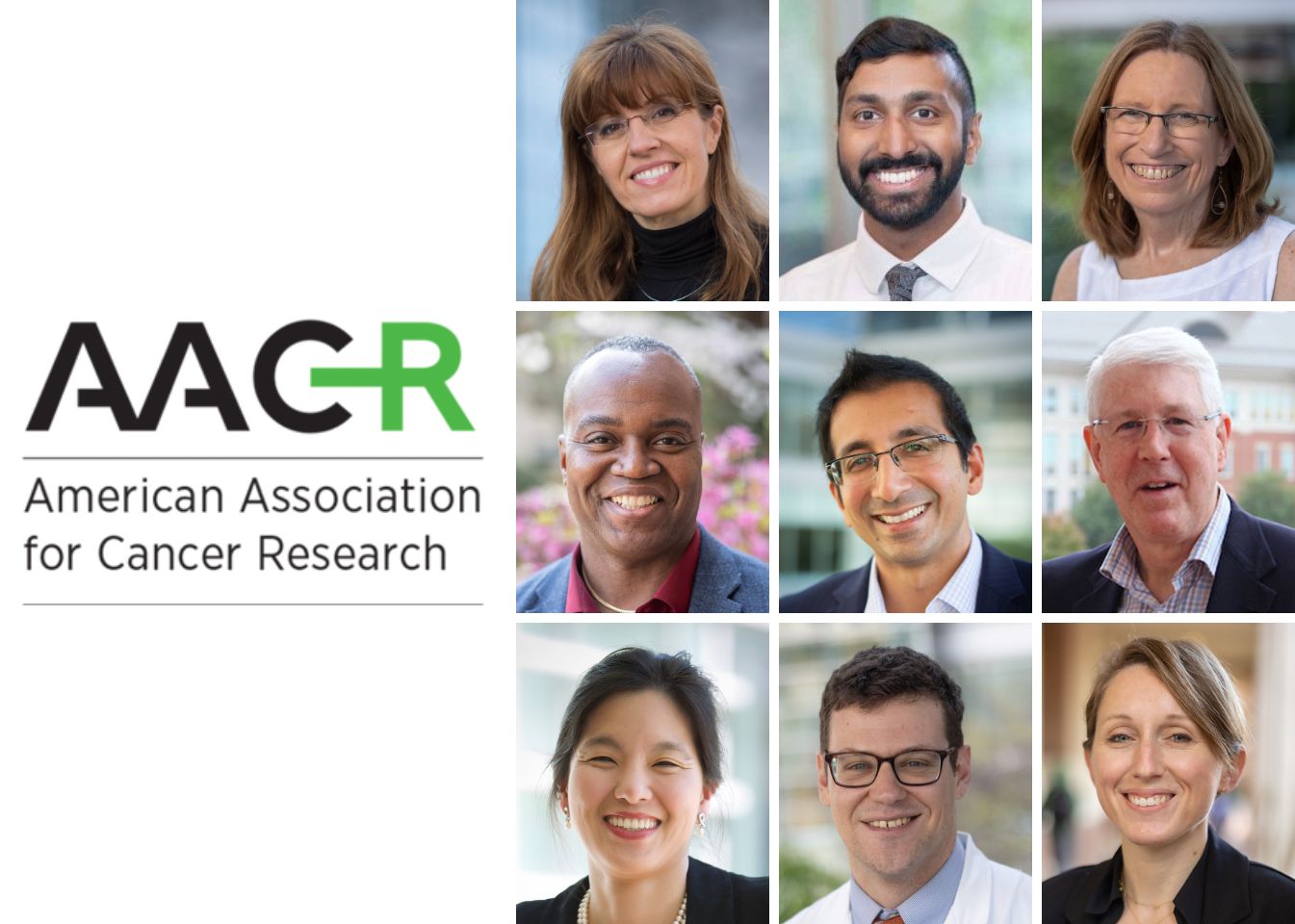 AACR: American Association for Cancer Research.