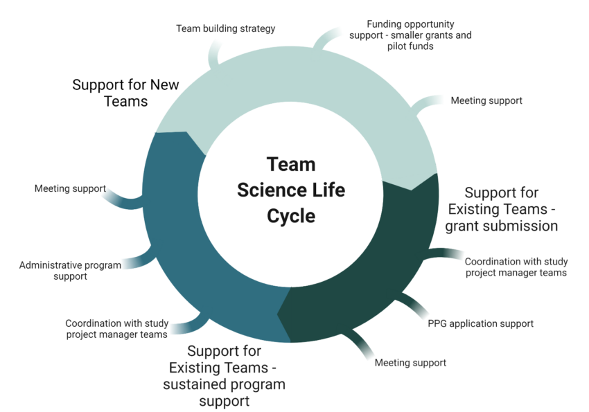 Infographic of Team Science support services, which include Support for New Teams, Support for Existing Teams (grant submission), and Support for Existing teams (sustained program support)
