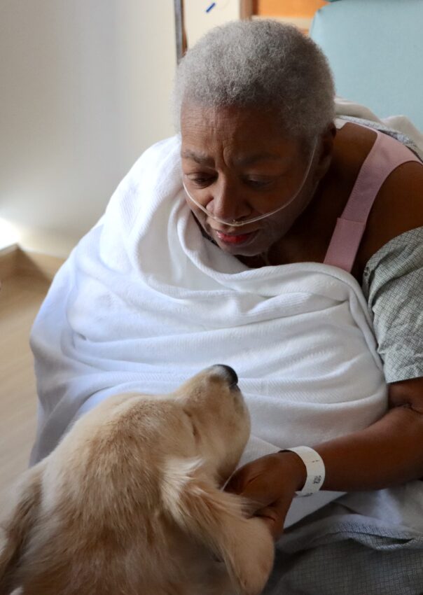 A woman in a hospital gown pets a therapy dog.