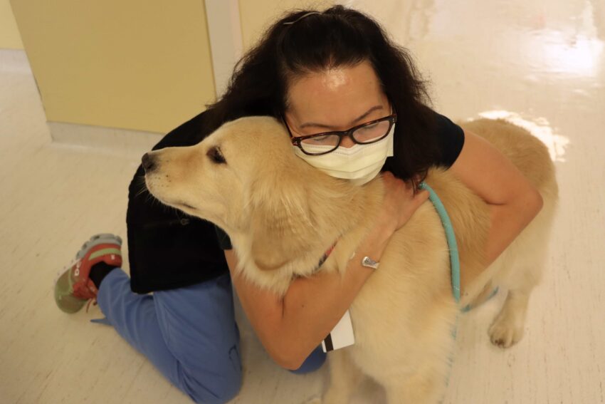 A nurse kneels on the ground to hug a therapy dog.