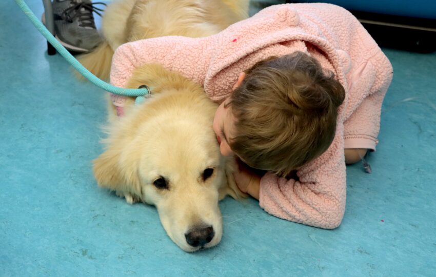 A young girl snuggles with a therapy dog.