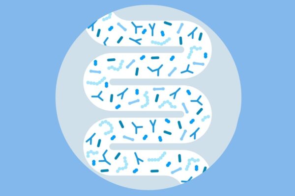 Illustration of human intestine microbiota with healthy probiotic bacteria.