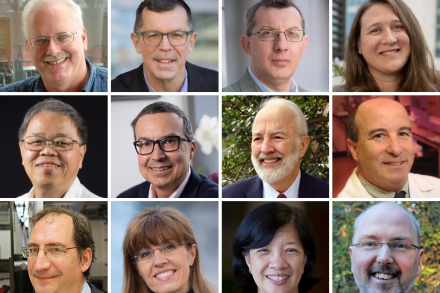 Headshots of the 12 UNC Lineberger members who are listed on Clarivate’s 2023 Highly Cited Researchers list.