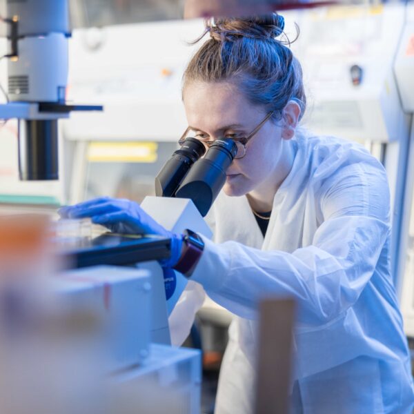 A researcher in the Yeh Lab looks at a slide under a microscope while sitting at a lab bench.